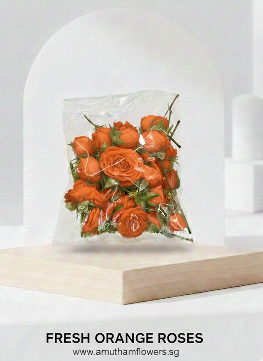 Orange Rose Packet