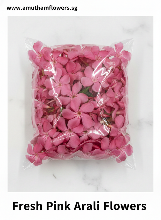 Pink Arali Flowers Packet