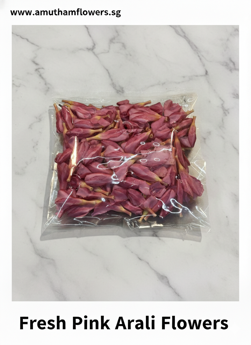 Pink Arali Flowers Packet