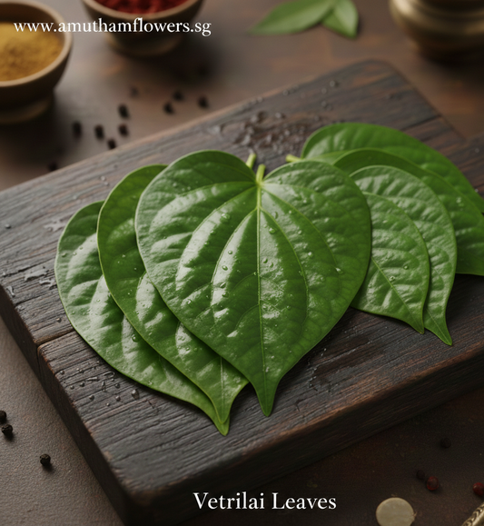 Vetrilai (Betel)Leaves